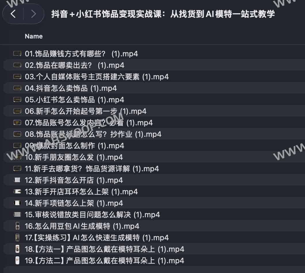 抖音+小红书饰品变现实战课:从找货到AI模特一站式教学 1 抖音+小红书饰品变现实战课:从找货到AI模特一站式教学