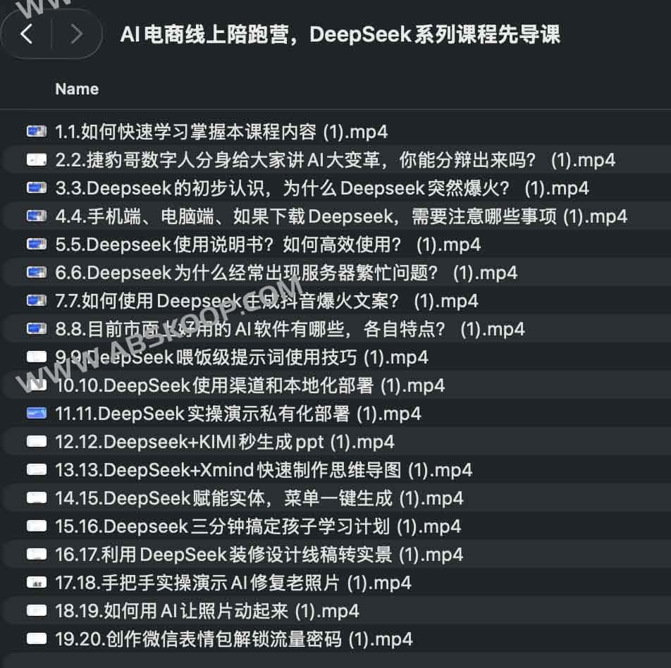 AI电商线上陪跑营,DeepSeek系列课程先导课 1 AI电商线上陪跑营,DeepSeek系列课程先导课
