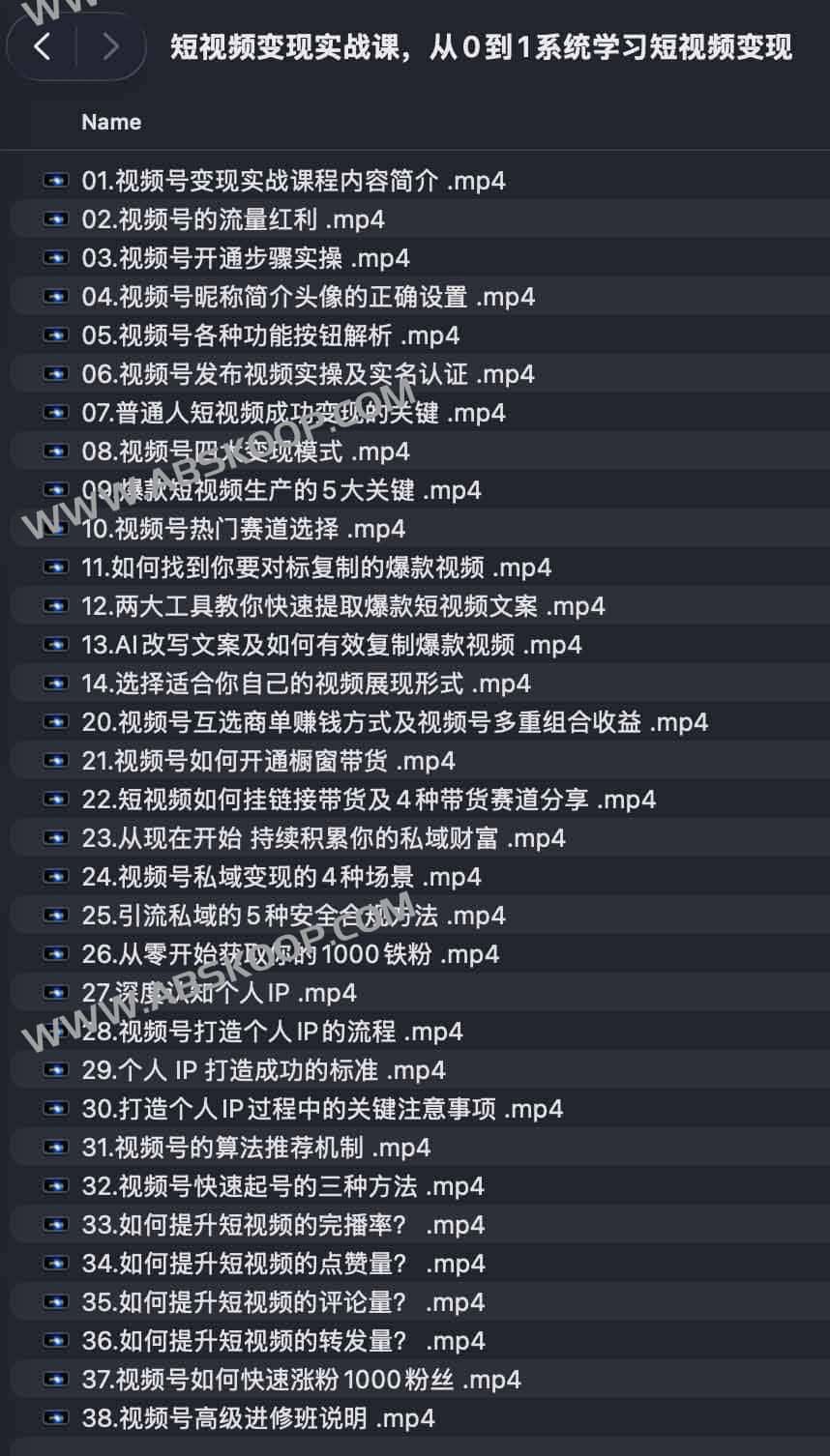 短视频变现实战课,从0到1系统学习短视频变现 1 短视频变现实战课,从0到1系统学习短视频变现