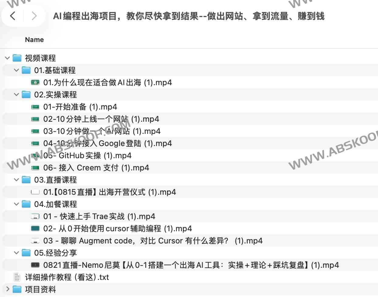 AI编程出海项目,教你尽快拿到结果--做出网站、拿到流量、賺到钱 1 AI编程出海项目,教你尽快拿到结果--做出网站、拿到流量、賺到钱