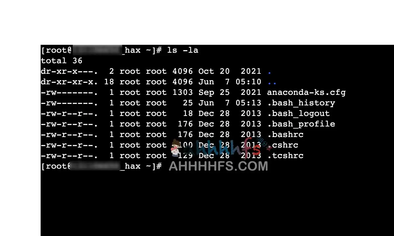 白嫖免费国外vps