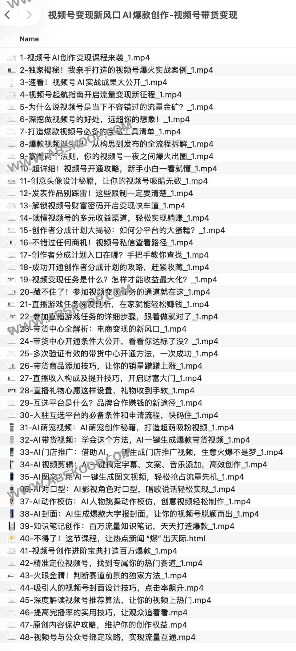 视频号变现新风口AI爆款创作-视频号带货变现 1 视频号变现新风口AI爆款创作-视频号带货变现